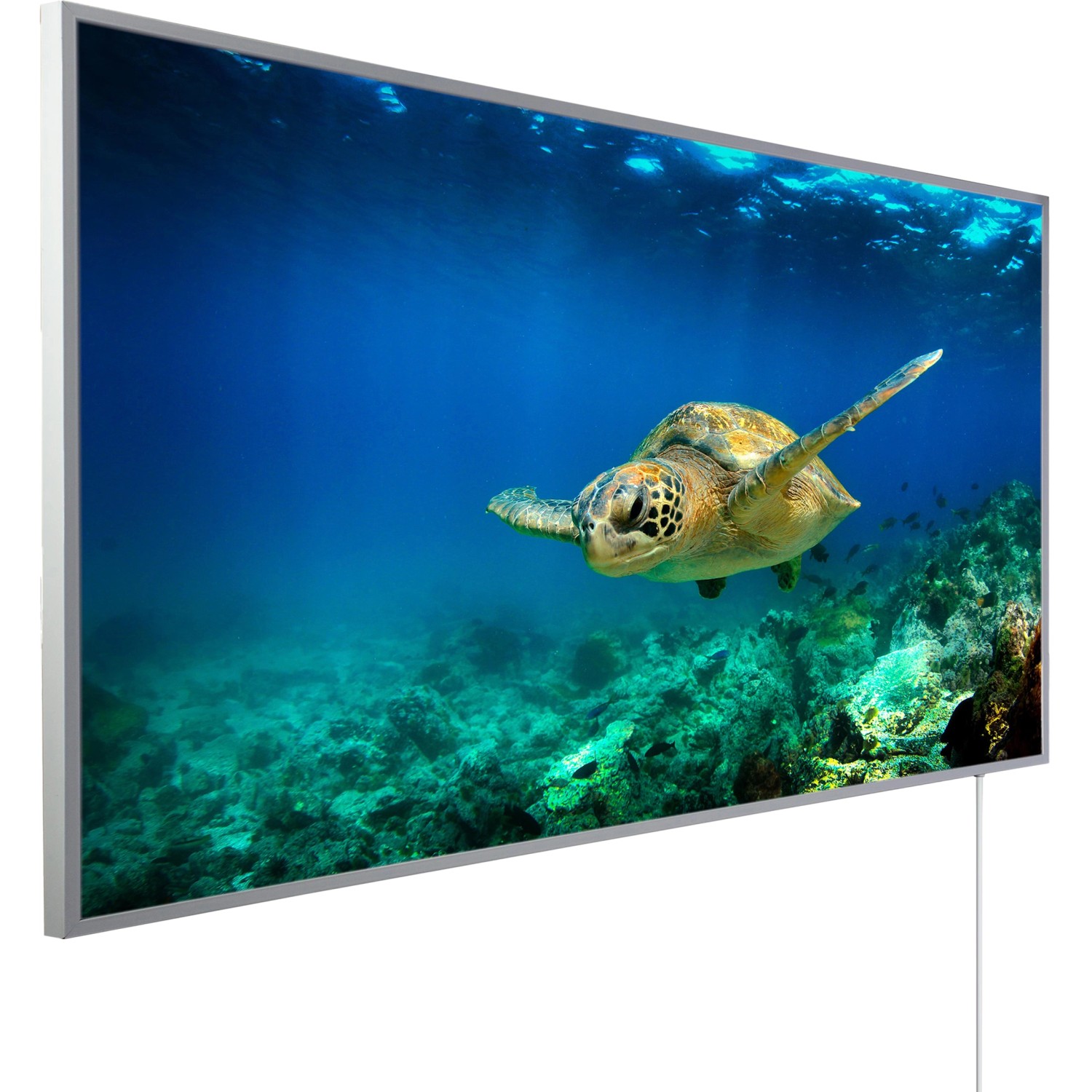 Könighaus Infrarotheizung Panorama-Serie 60 cm x 120 cm 1000 W Schildkröte