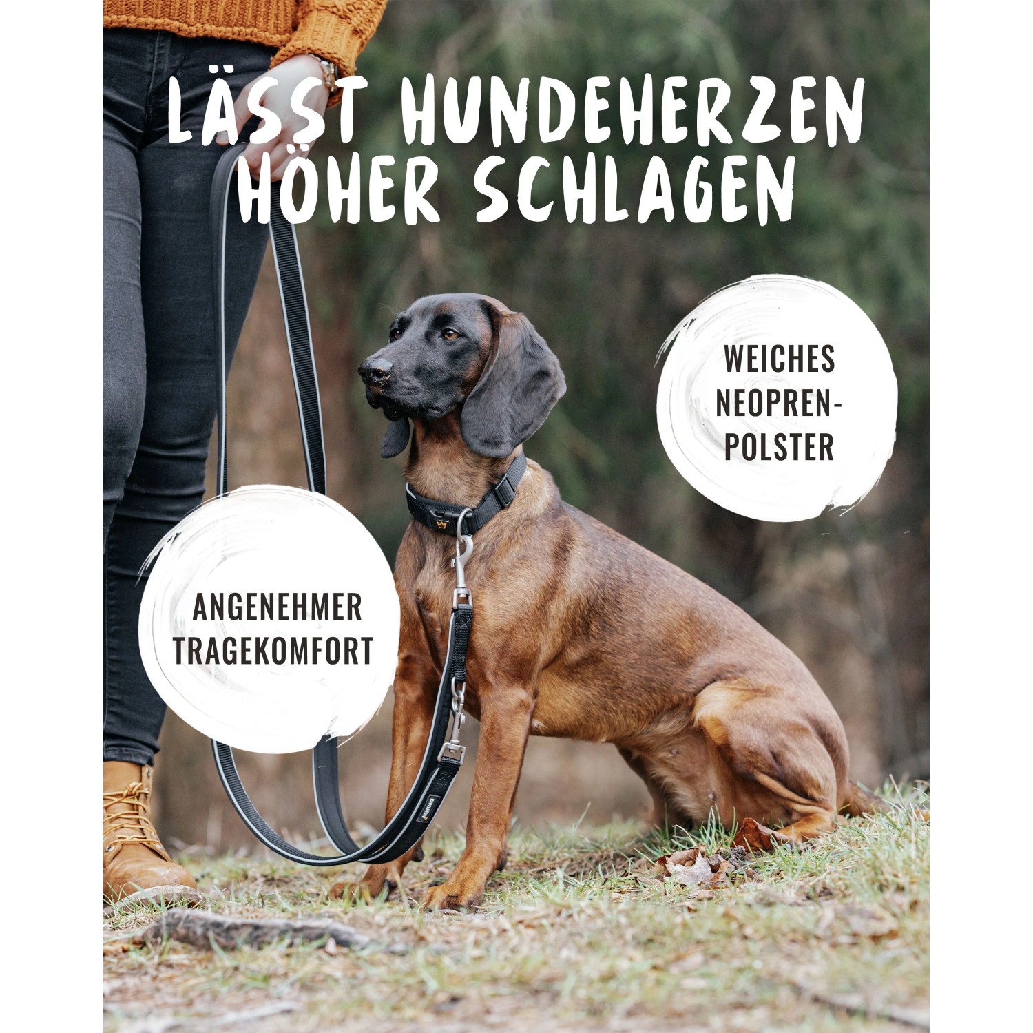 Hund mit verstellbarem Rudelkönig Hundehalsband Paola aus Nylon und Neopren.