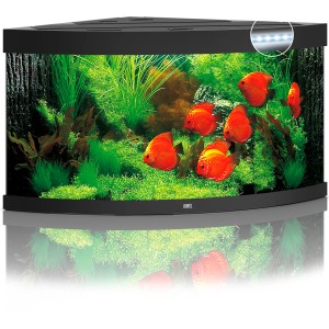 Juwel Trigon LED Aquarium-Set, 350 l, schwarz, mit Fischen und Pflanzen.