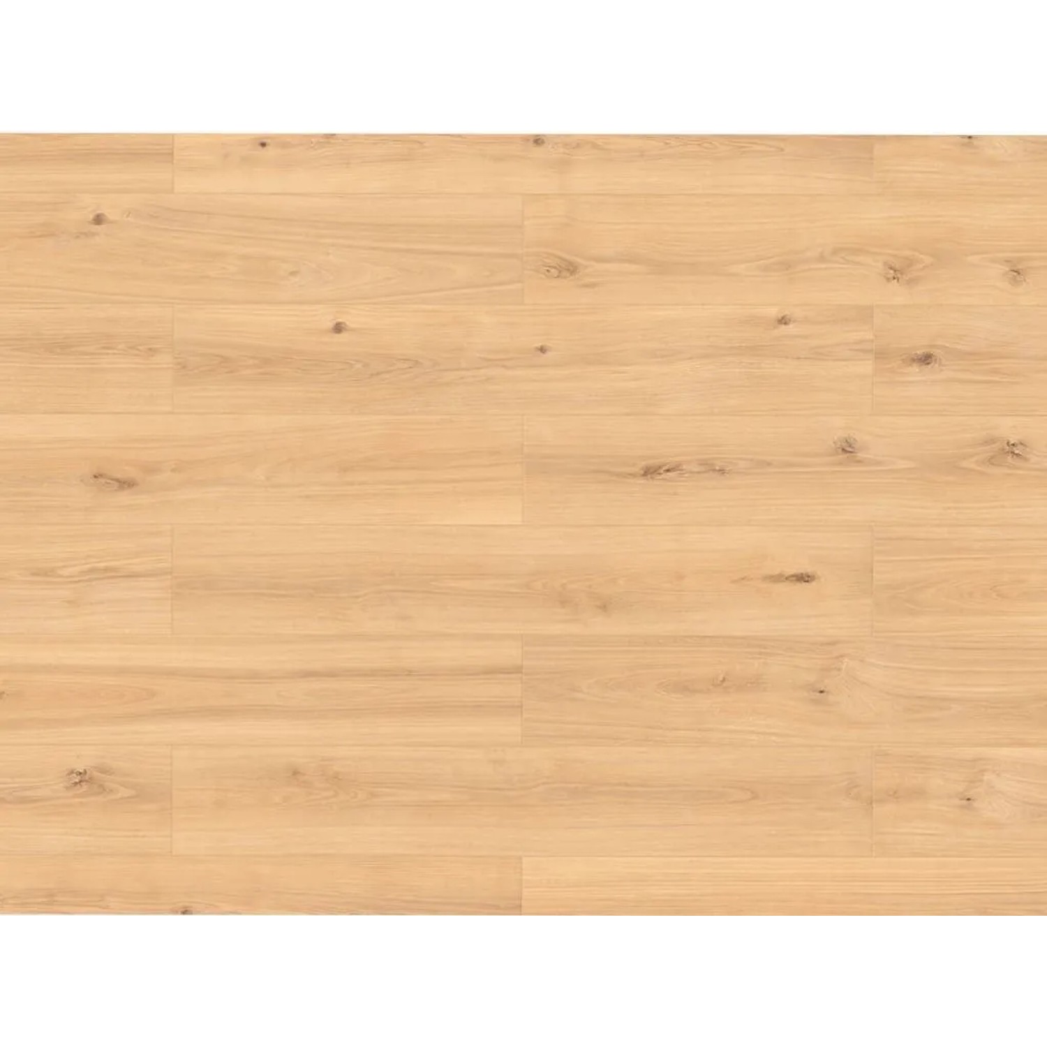 BASICfloor Designboden Trend Green Vinyl Grappa Eiche Landhausdiele