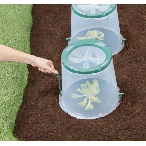 Garantia Sunny Pflanzglocke mit Erdanker-Set zur Fixierung im Beet.