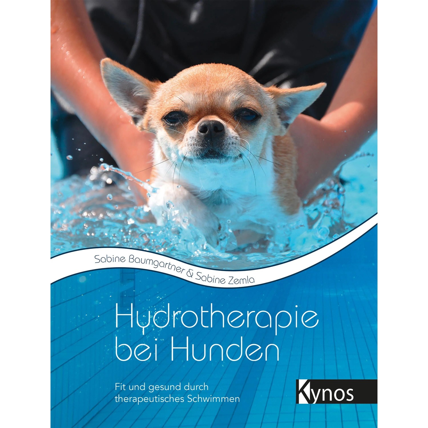 Thumbnail - Hydrotherapie bei Hunden