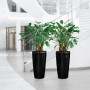 Zwei hochglanz schwarze Lechuza Rondo Premium Pflanzgefäße mit grünen Pflanzen in modernem Ambiente.