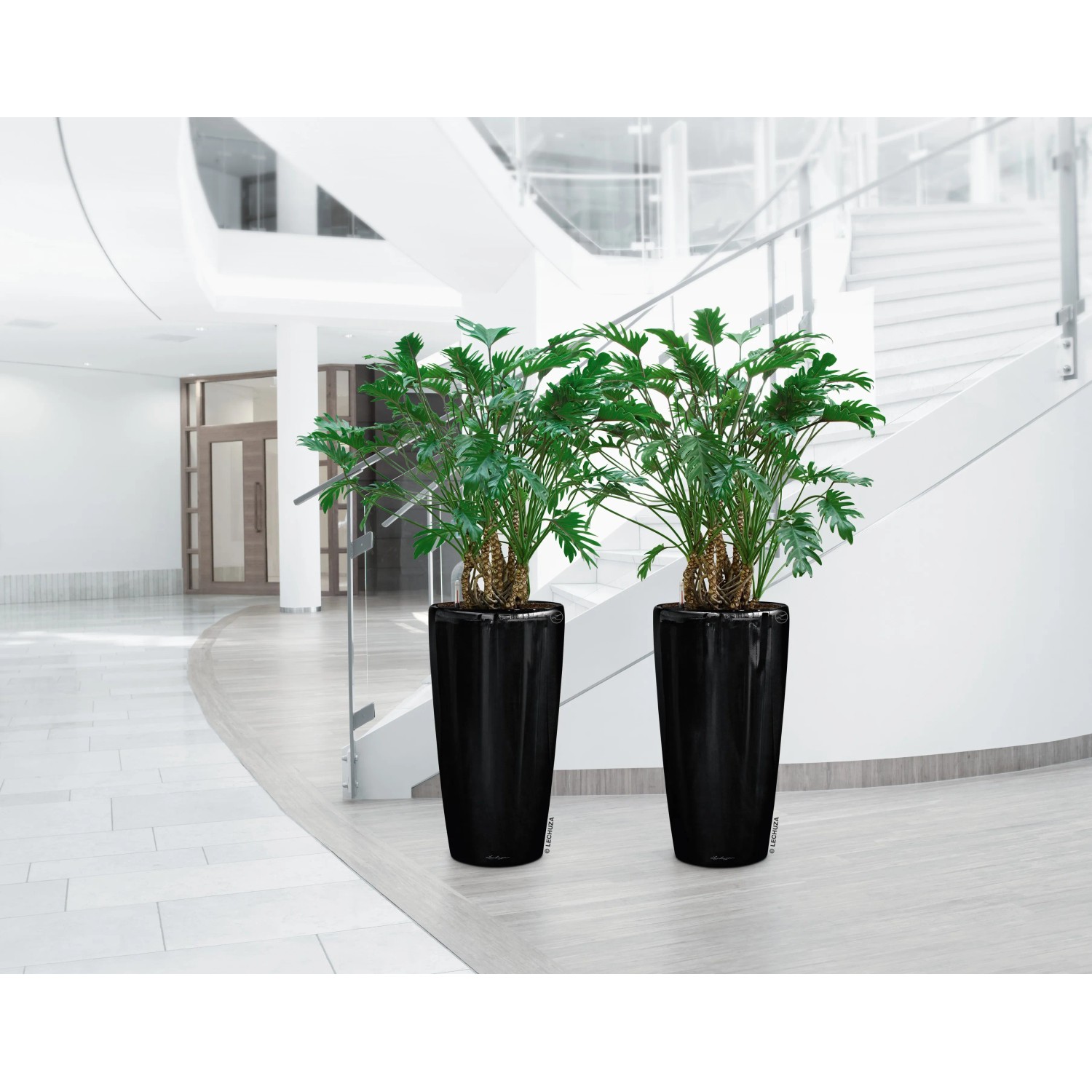 Zwei hochglanz schwarze Lechuza Rondo Premium Pflanzgefäße mit grünen Pflanzen in modernem Ambiente.