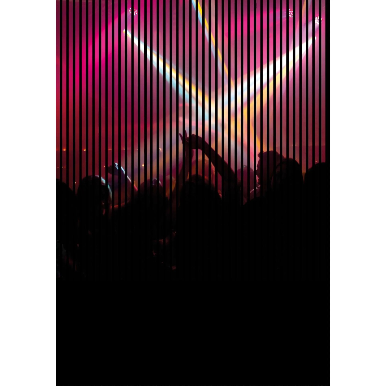 FN Acustico Akustikplatte Clubbing 1 PET u. MDF Foliert 1.693 x 19 x 2.400 mm