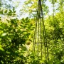 Eleo Rankhilfe Obelisk Enna, 170 cm, unbeschichtet im Garten. Rankgitter aus Metall für Kletterpflanzen.