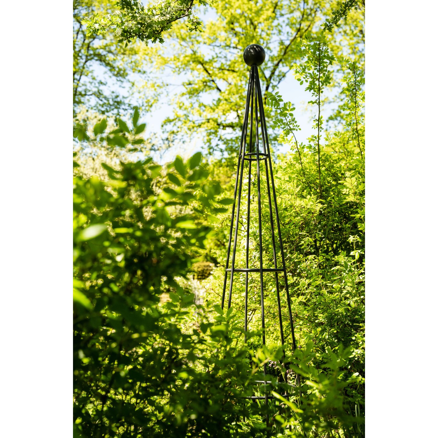 Eleo Rankhilfe Obelisk Enna, 170 cm, unbeschichtet im Garten. Rankgitter aus Metall für Kletterpflanzen.