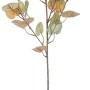 Flower Power Kunstblume: Eukalyptuszweig in Grün, 72 cm, für moderne Innendeko.