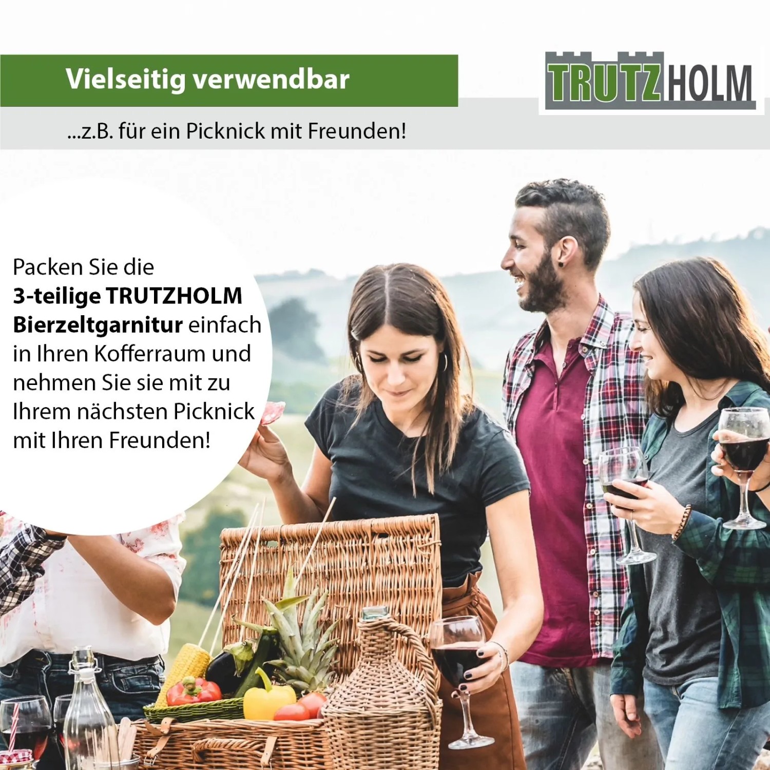 TRUTZHOLM Bierzeltgarnitur 3 Teilig Klappbar Länge 107cm Gartenmöbel Grau_6