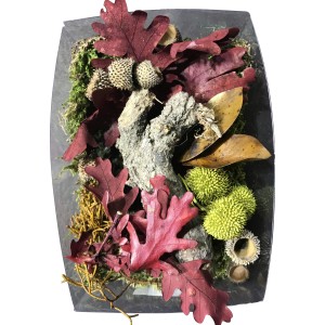 Bastelmix mit getrockneten Blättern, Blüten, Moos und Holz in einer Box. Ideal zum Dekorieren.