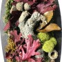 Bastelmix mit getrockneten Blättern, Blüten, Moos und Holz in einer Box. Ideal zum Dekorieren.