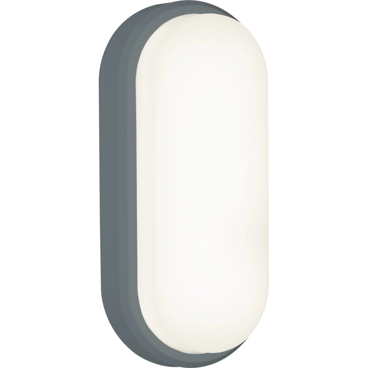 LED-Ovalleuchte OL 18 W Anthrazit 1-flammig