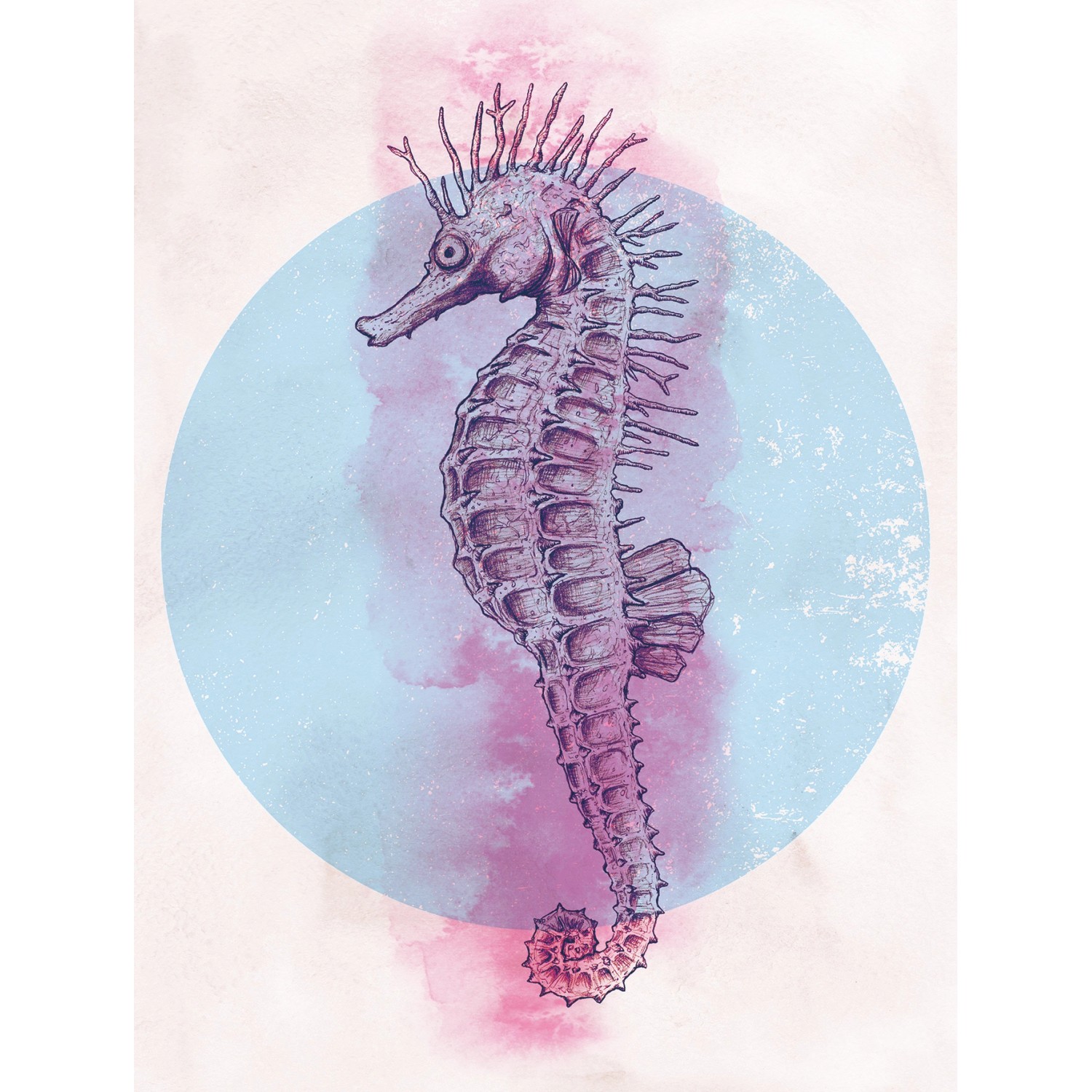 Komar Wandbild Sea Horse Circle 30 x 40 cm günstig online kaufen