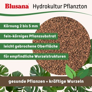 Blusana Blähton 2-4mm, feine Körnung. Pflanzsubstrat/Pflanzton für Hydrokultur und Bodenverbesserung.