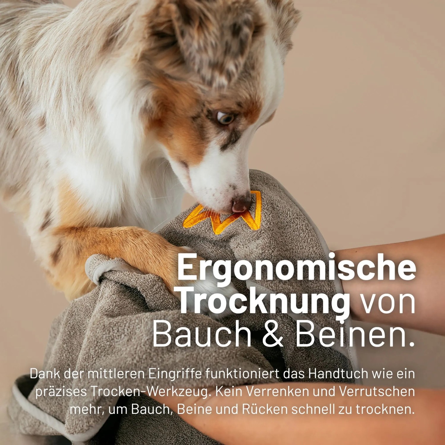 Hund wird mit saugstarkem Rudelkönig Hundehandtuch getrocknet. Baumwollhandtuch mit Eingrifftaschen.