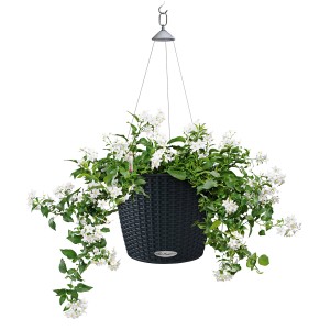 Graphitschwarze Lechuza Hängeampel Nido Cottage 35 mit weißen Blüten, Ø 35 cm.