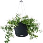 Graphitschwarze Lechuza Hängeampel Nido Cottage 35 mit weißen Blüten, Ø 35 cm.