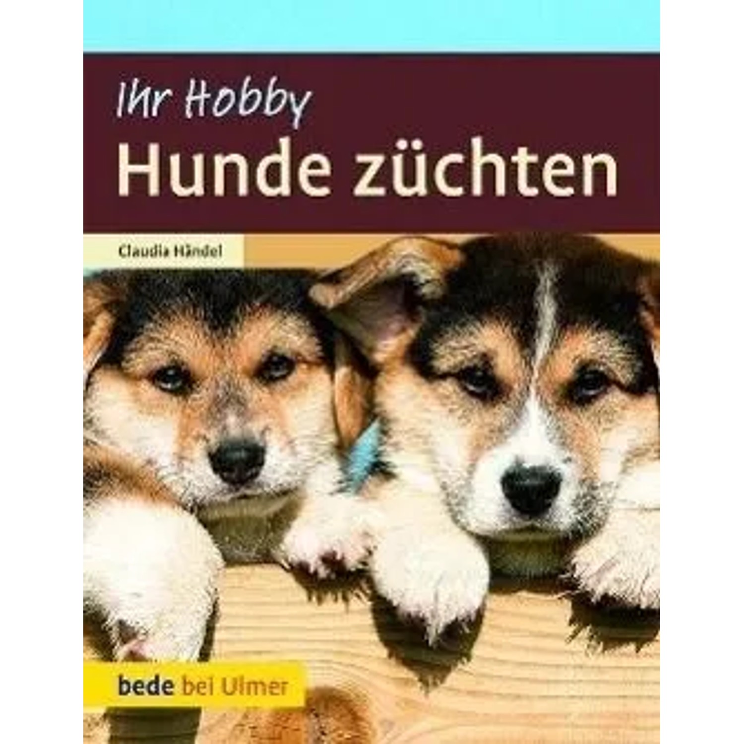 Hunde züchten