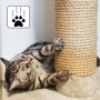 Katze kratzt an eyepower Sisalstamm (25 cm, Ø 7,4 cm, M8) für Kratzbaum. Zubehör für Katzen.
