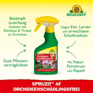 Neudorff Spruzit AF Orchideen Schädlingsfrei 250ml: Pflanzenspray gegen Spinnmilben und andere Schädlinge.