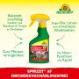 Neudorff Spruzit AF Orchideen Schädlingsfrei 250ml: Pflanzenspray gegen Spinnmilben und andere Schädlinge.