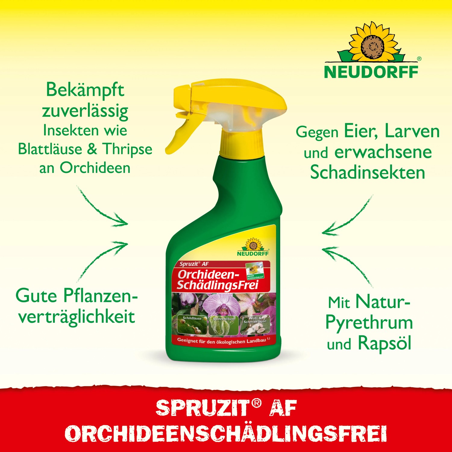 Neudorff Spruzit AF Orchideen Schädlingsfrei 250ml: Pflanzenspray gegen Spinnmilben und andere Schädlinge.