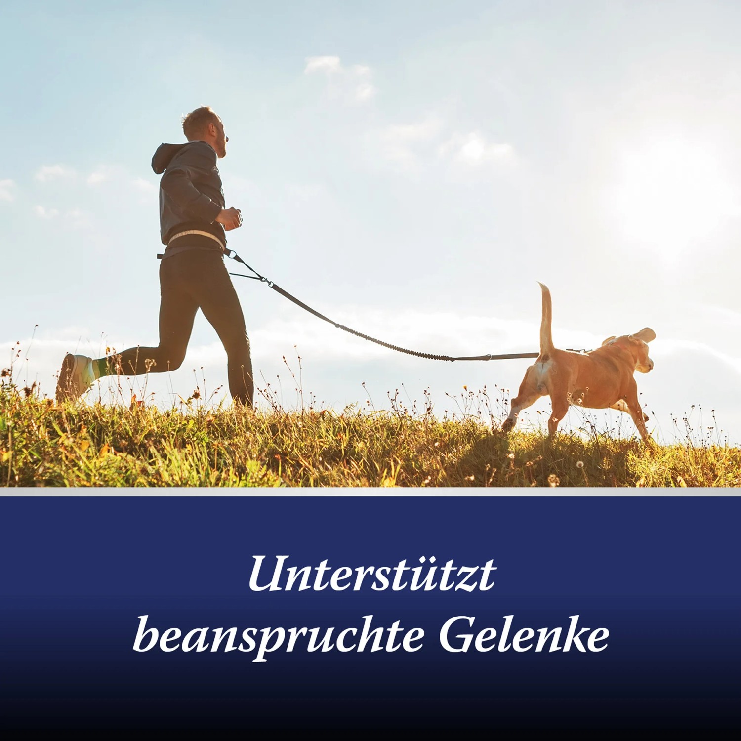 Mann joggt mit Hund. Canosept Gelenk Tabletten unterstützen die Gelenke des Hundes.