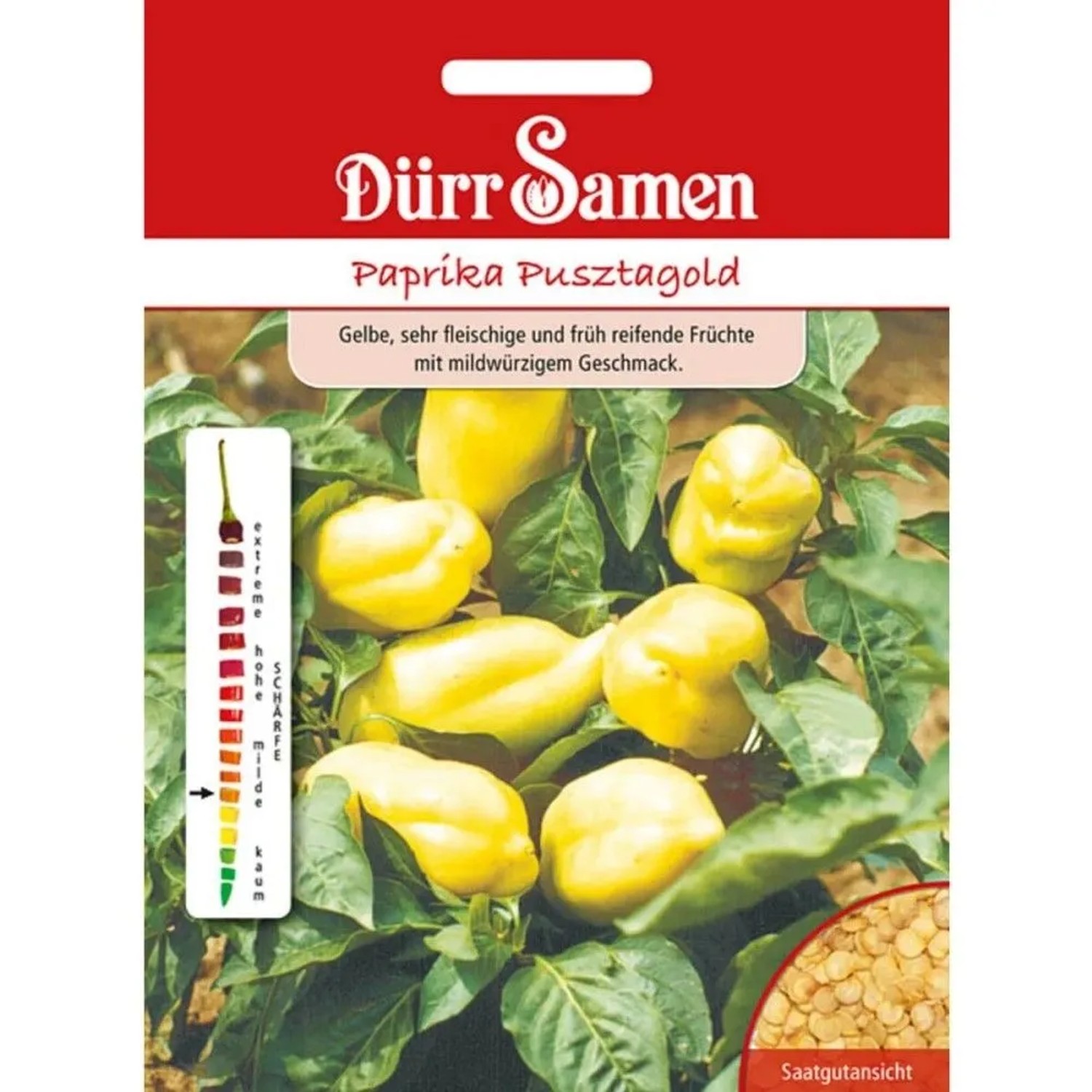 Dürr Samen Paprika Pusztagold Saatgut