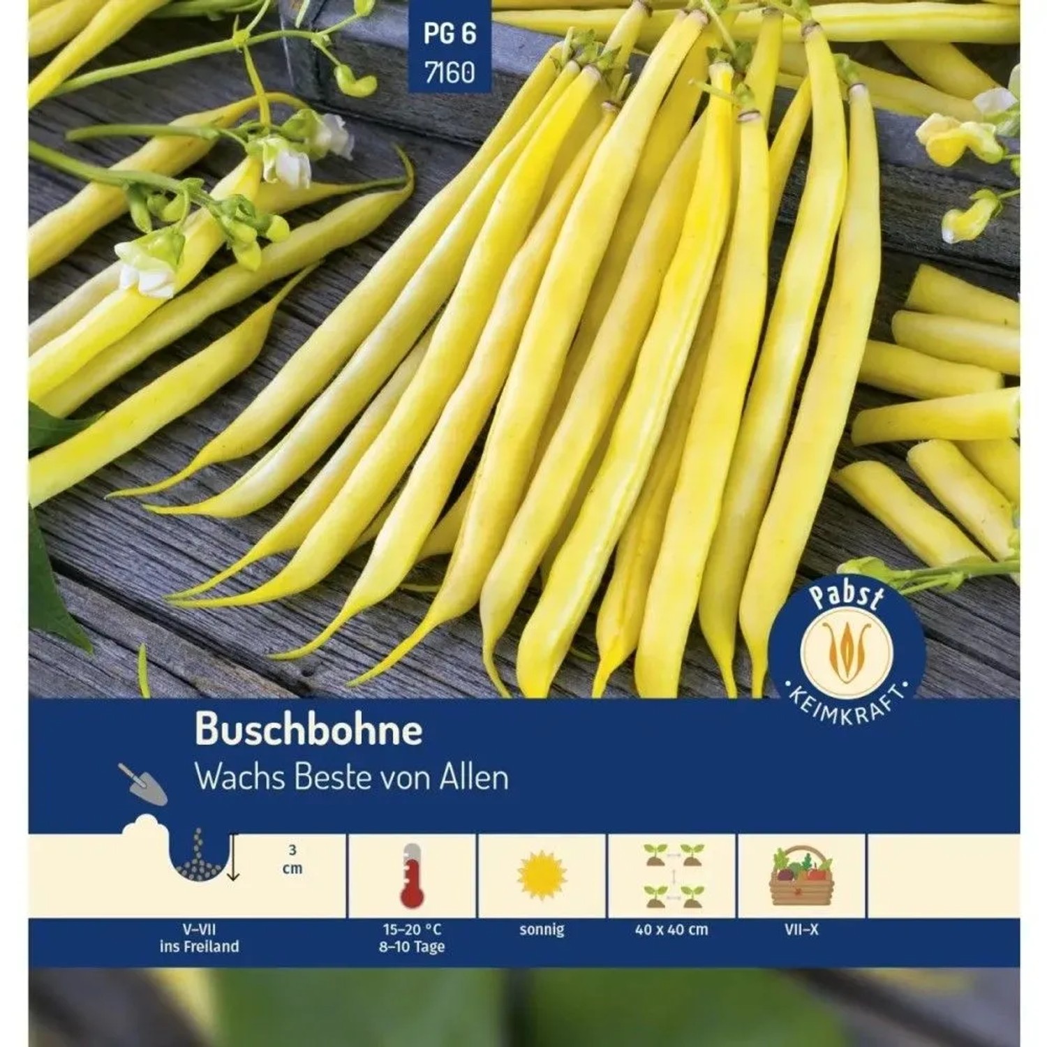 Pabst Keimkraft Buschbohne Mittelfrüh & Robust Wachs Beste Von Allen Saatgut