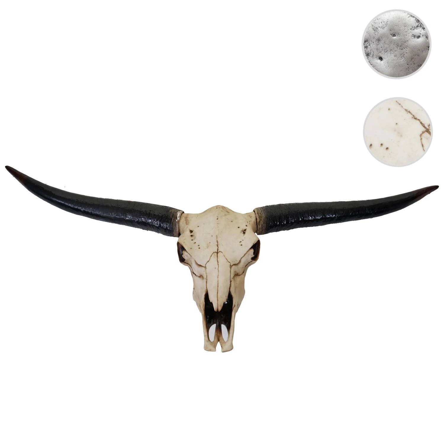 MCW Deko Schädel 132cm A14 Stier Naturfarben_6