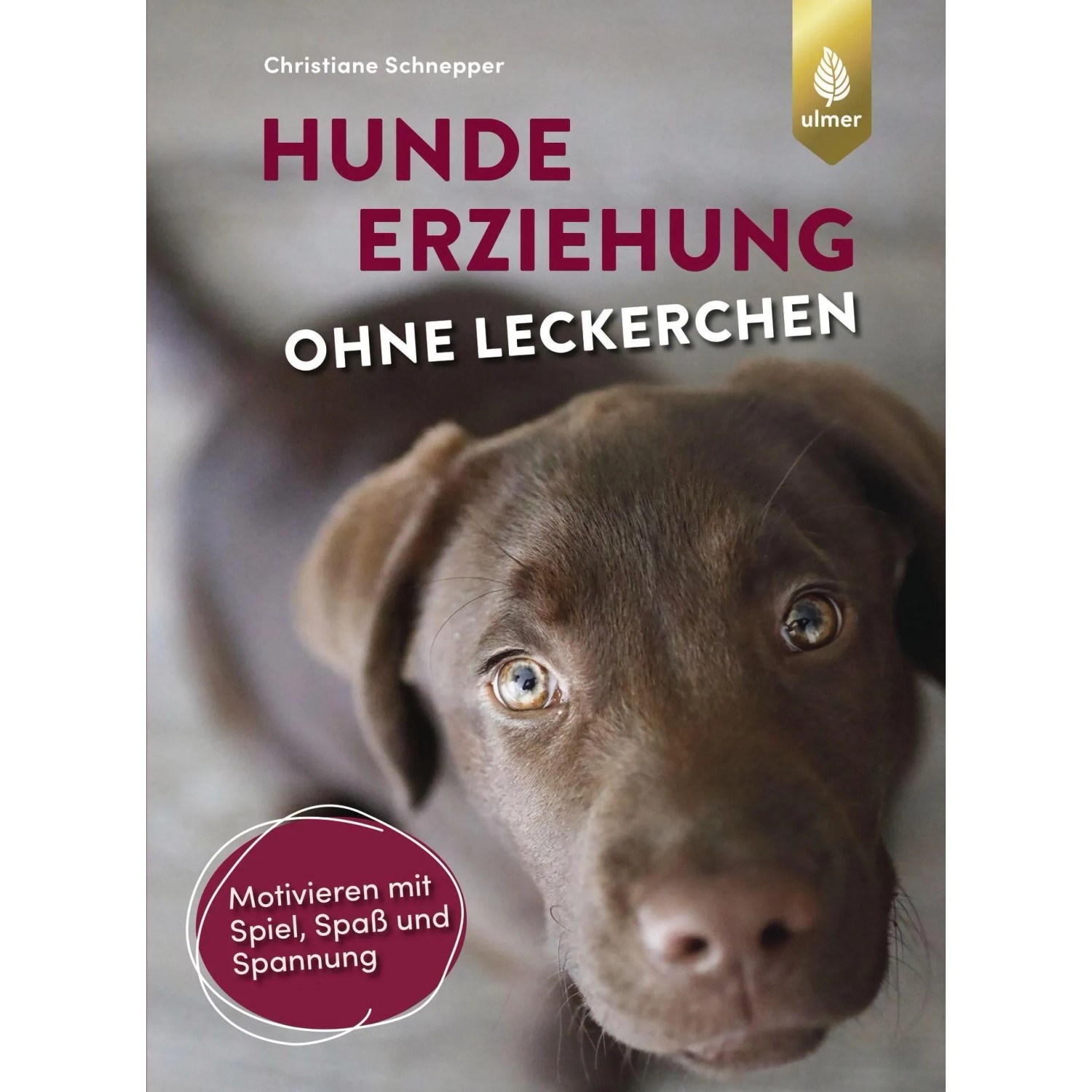 Hundeerziehung ohne Leckerchen