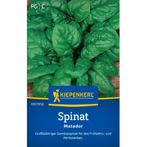 Kiepenkerl Spinat Matador: Saatgut für winterharten, großblättrigen Gemüsespinat.