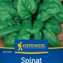 Kiepenkerl Spinat Matador: Saatgut für winterharten, großblättrigen Gemüsespinat.