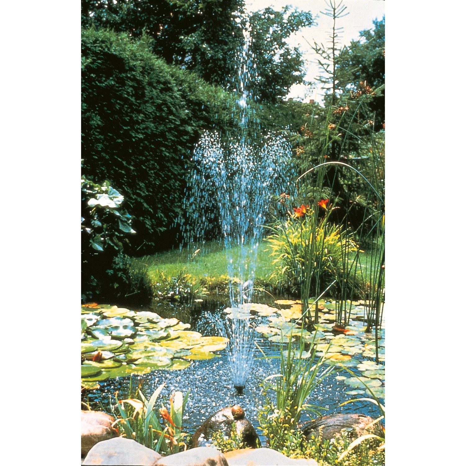 Ubbink Elimax 2500 Springbrunnenpumpe im Gartenteich mit Fontäne.
