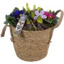 Frühlingsarrangement im Weidenkorb mit Narzissen und Primeln, Topf-Ø 26cm.