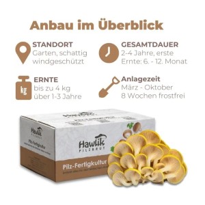 Hawlik Pilzbrut Limonenpilz Pilzbeet-Set für Einfache Pilzzucht Im Garten mit Substrat und Myzel inkl. Anbau-Anleitung