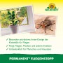 Neudorff Klebefalle Permanent Fliegenstopp, 2er-Pack: Fensterfalle gegen Fliegen und Insekten.