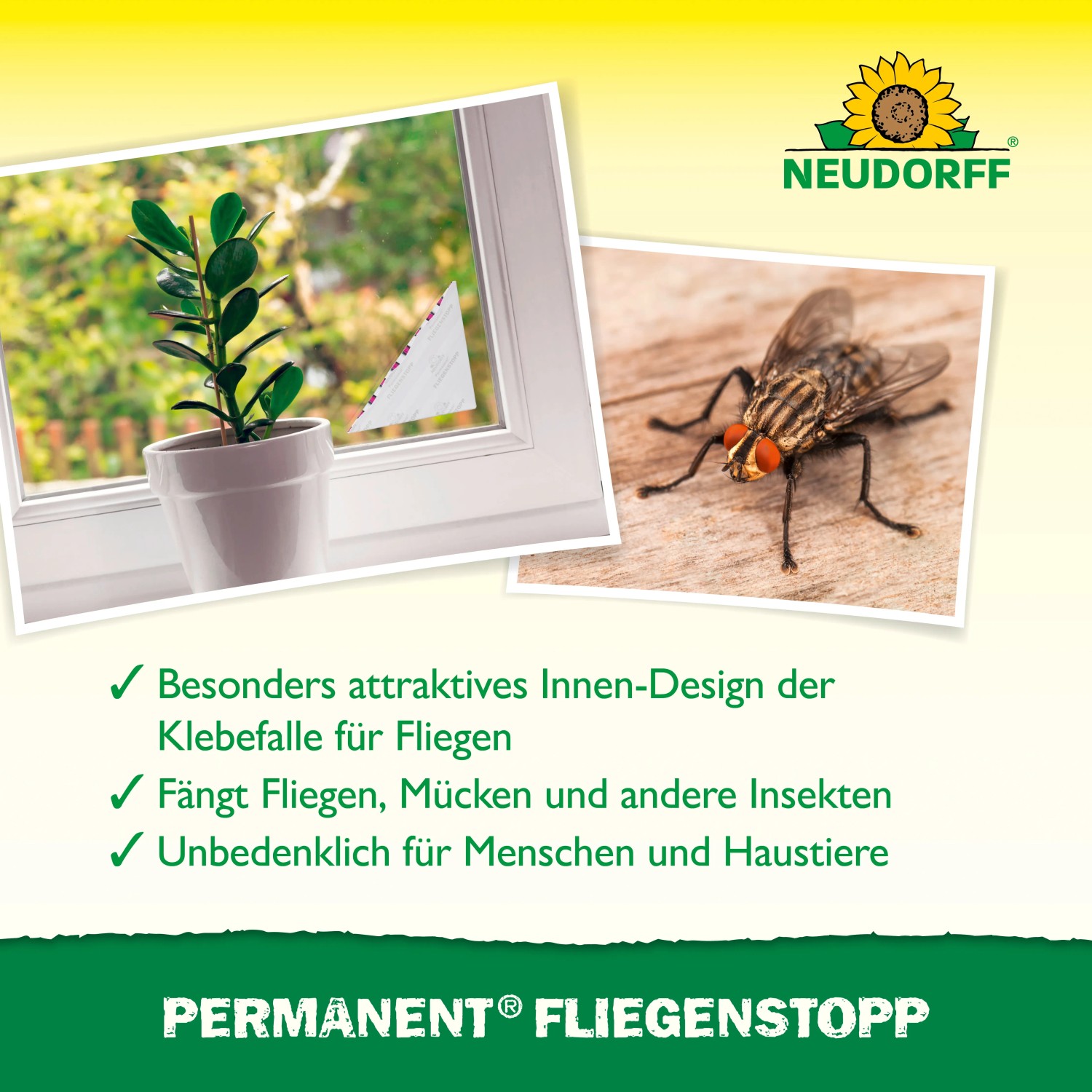 Neudorff Klebefalle Permanent Fliegenstopp, 2er-Pack: Fensterfalle gegen Fliegen und Insekten.