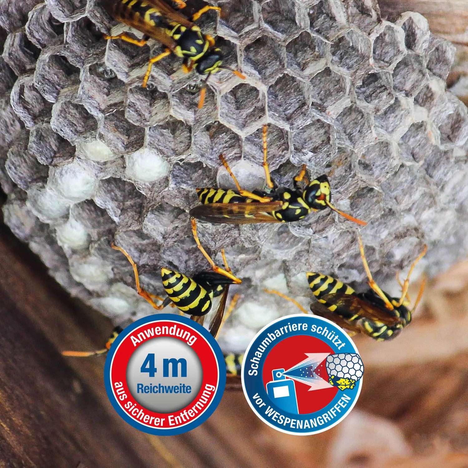 Protect Home Wespenschaum: Wespennest mit Wespen, Anwendung aus sicherer Entfernung.