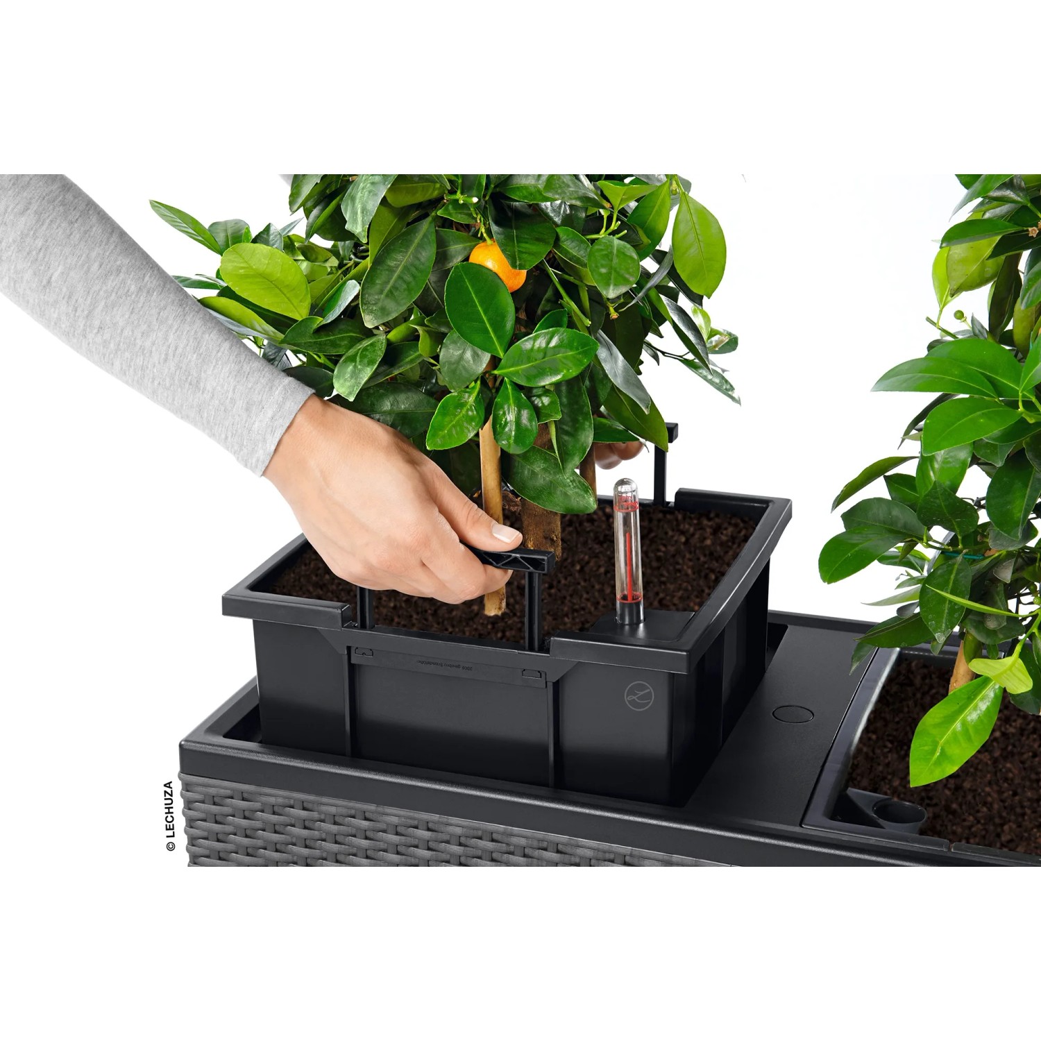 Pflanztopf It Bewässerungssyste – Die 15 Besten Produkte I Vergleich
