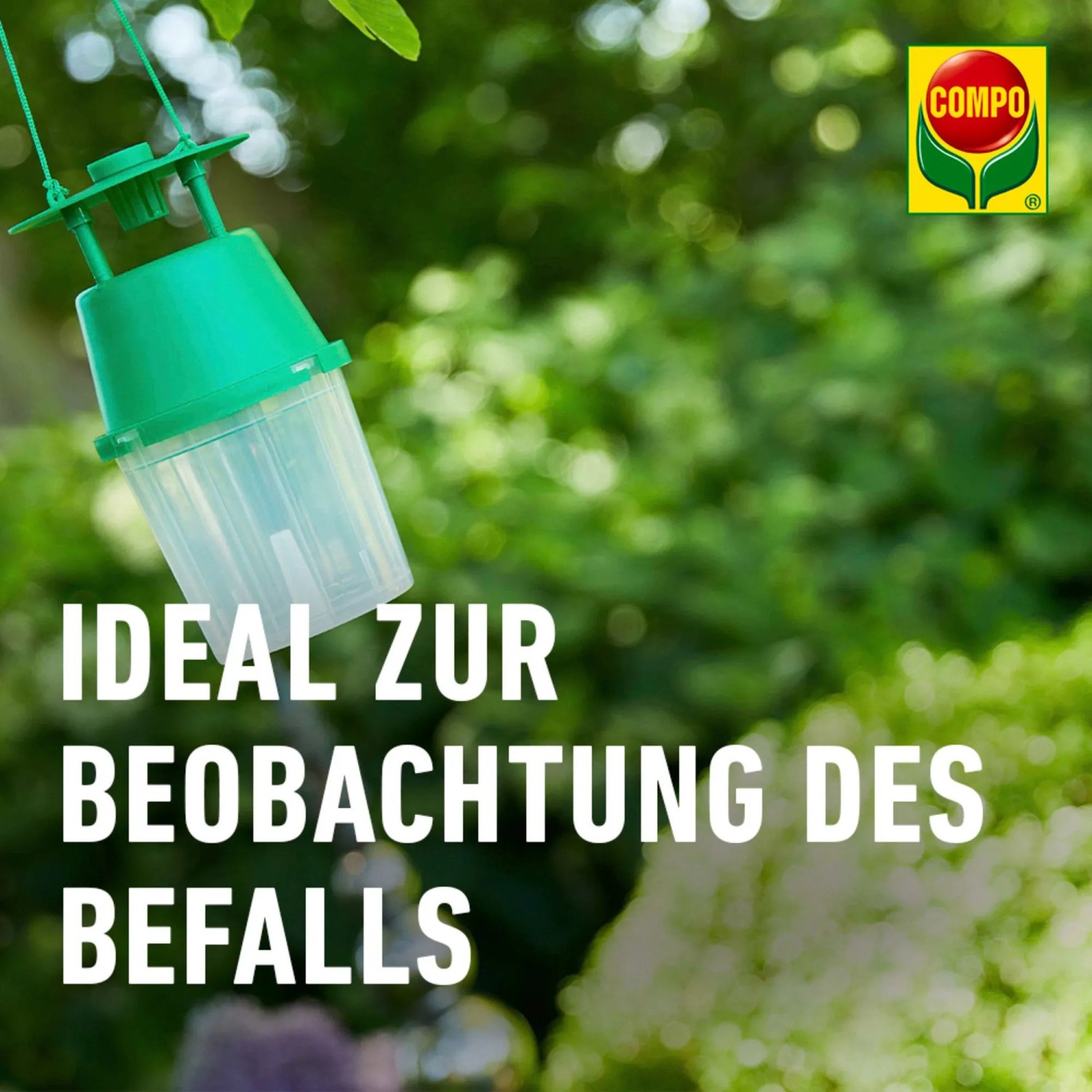 Compo BIO Apfelwickler Lockstoff in Falle zur Ungezieferkontrolle im Garten.