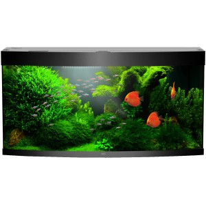 Aquarium mit Juwel Novolux LED 60 Beleuchtung, Fischen und Pflanzen.