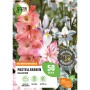 GROW by OBI Pastellfarben-Kollektion: Blumenzwiebeln mit zarten Blüten in Rosa, Weiß und Lila.