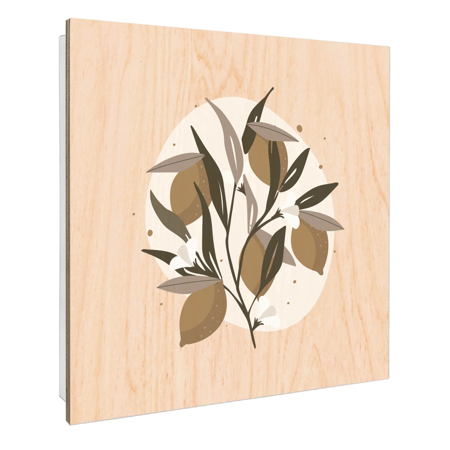 Banjado Großer Schlüsselbox Holz 30x30cm Weiß Scharnier Rechts 50 Haken Sch günstig online kaufen