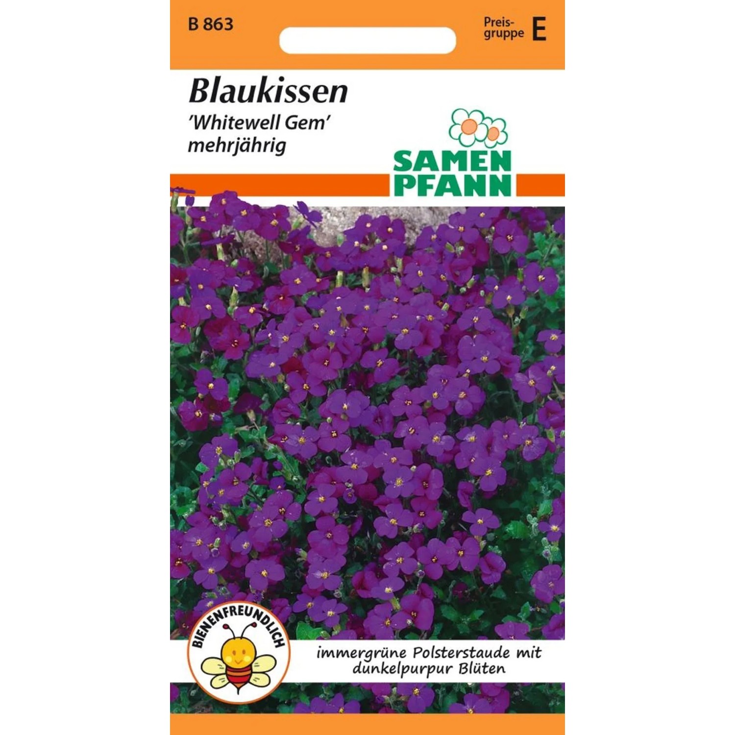 SAMEN PFANN Blaukissen Aubrieta