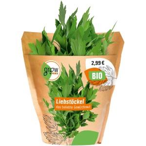 Bio Liebstöckel (Maggikraut) im Topf von Grow by OBI, grüne Blätter.