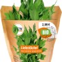 Bio Liebstöckel (Maggikraut) im Topf von Grow by OBI, grüne Blätter.