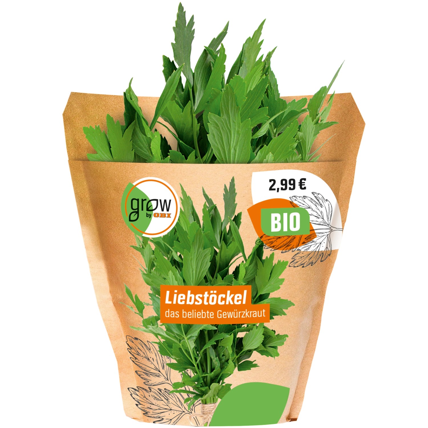 Grow by OBI Bio Liebstöckel/Maggikraut TopfØ ca. 13 cm "Levisticum