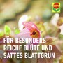 Nahaufnahme einer rosa Blüte, beworben mit Compo Bio Blumendünger für reiche Blüte und sattes Grün.