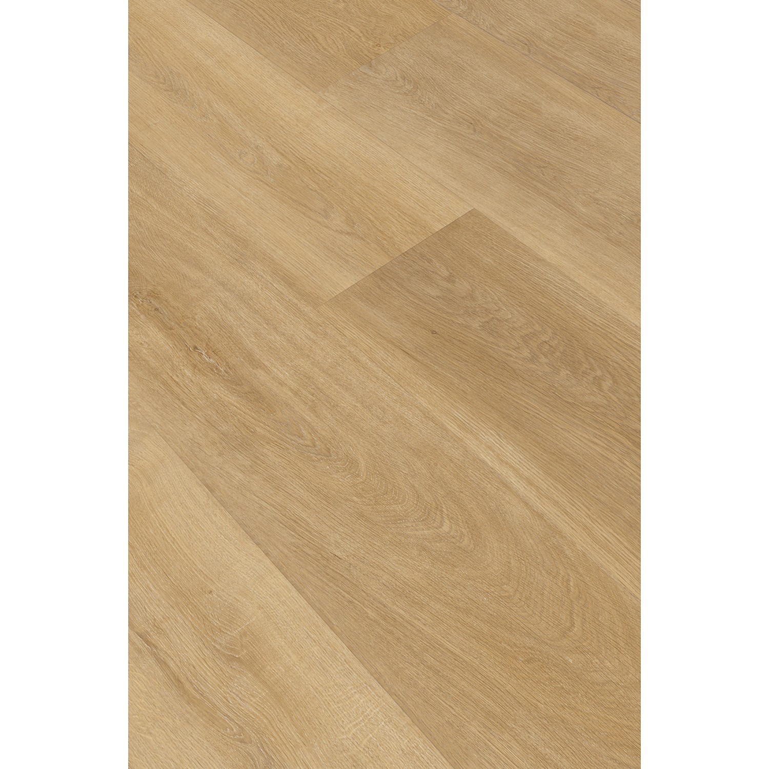 Klebe-Vinylboden World of Dryback Akron Oak Breitdiele Town günstig online kaufen